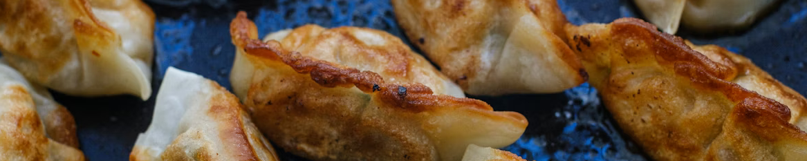 03/27/26: Dumplings!