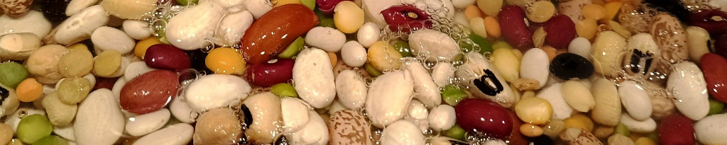 FND 09/02/26: So many beans soup